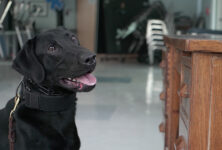 new-milford-union-pic1