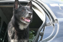 new-milford-union-pic2